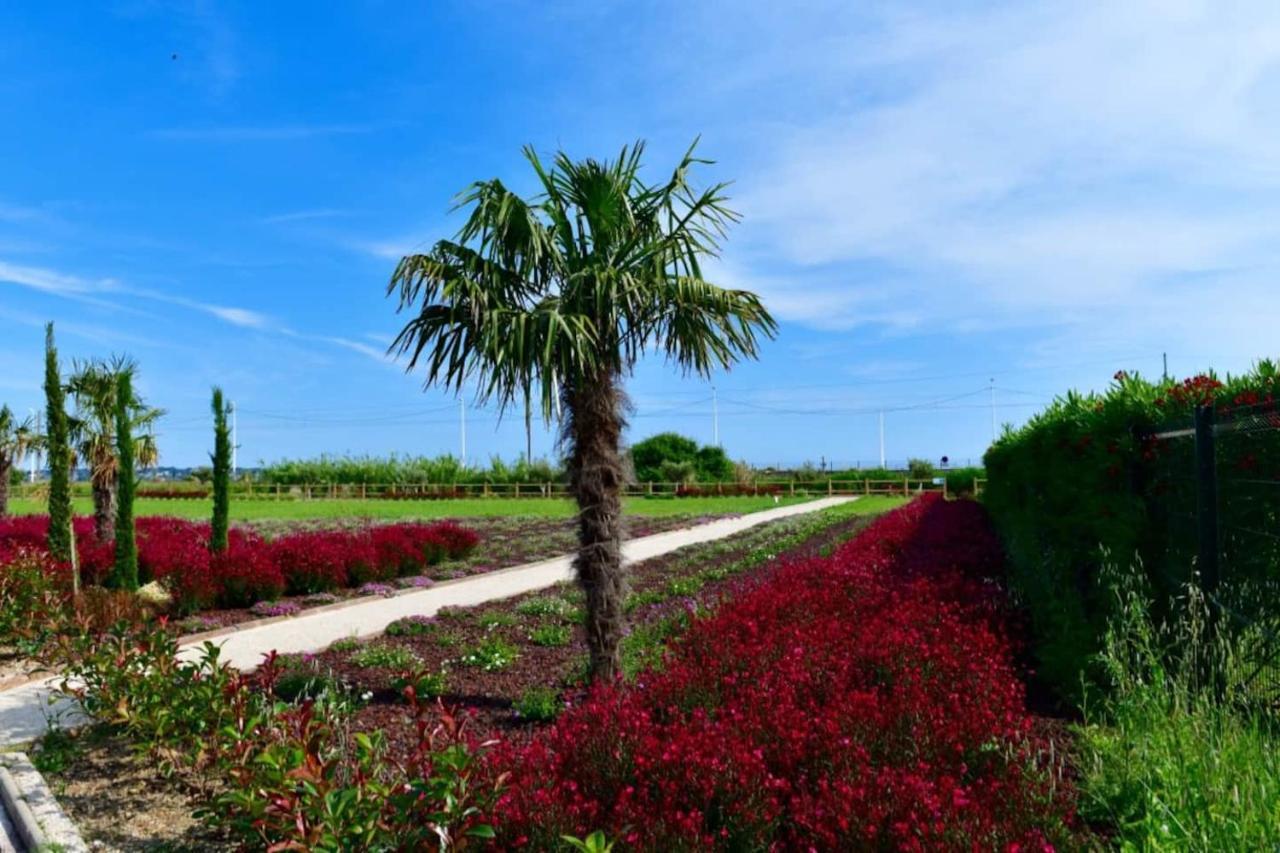 Domaine Juan Flore Antibes Exterior photo